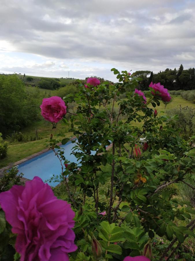 Poderi In Chianti Tavarnelle Val di Pesa Экстерьер фото